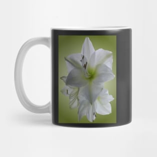 Amaryllis Mug